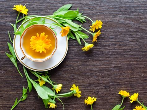 what is calendula tea